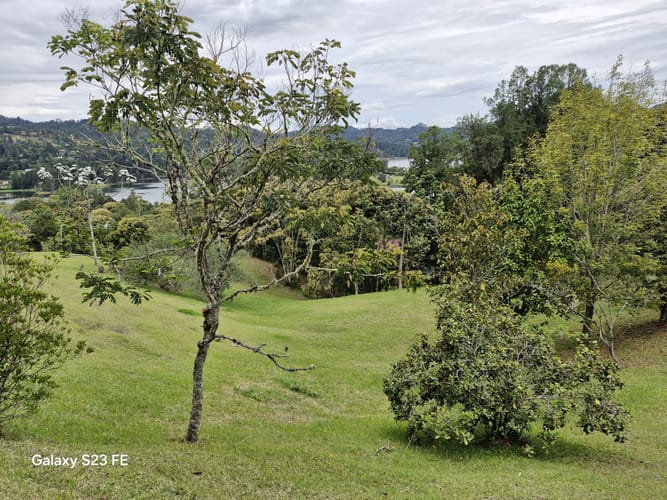 Lote en venta en Los Salados, El Retiro, 15540 m² · foto 20 de 22