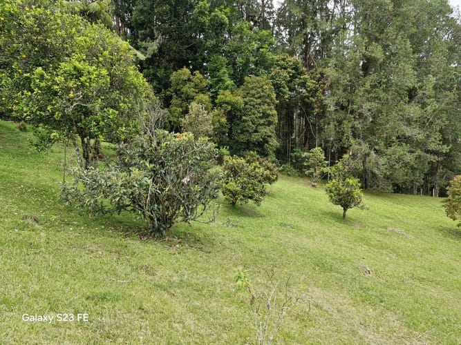 Lote en venta en Los Salados, El Retiro, 15540 m² · foto 21 de 22