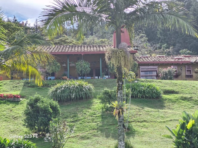 Finca en venta en Yarumal, Rionegro, 15000 m² · foto 11 de 19