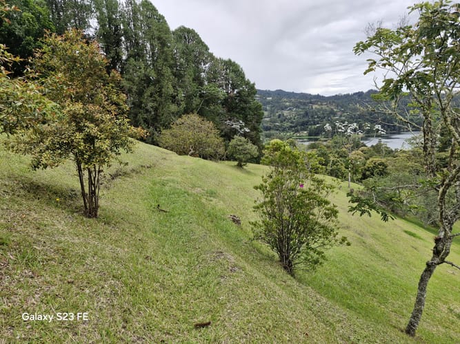 Lote en venta en Los Salados, El Retiro, 15540 m² · foto 22 de 22
