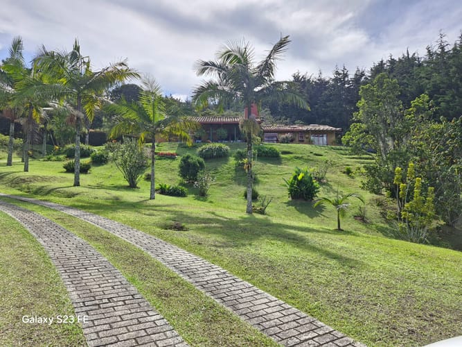 Finca en venta en Yarumal, Rionegro, 15000 m² · foto 14 de 19