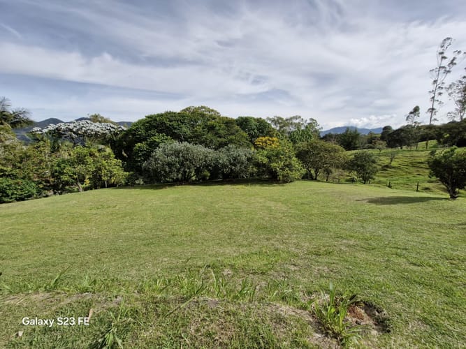 Lote en venta en Guamito, La Ceja, 10000 m² · foto 3 de 16