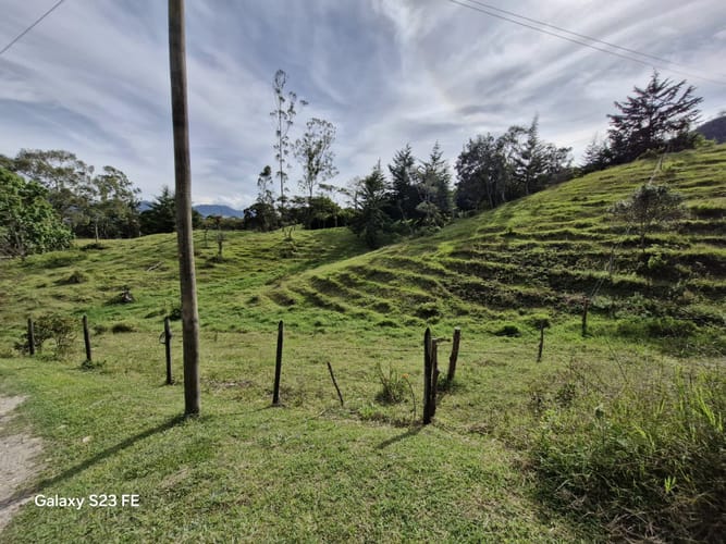 Lote en venta en Guamito, La Ceja, 10000 m² · foto 4 de 16