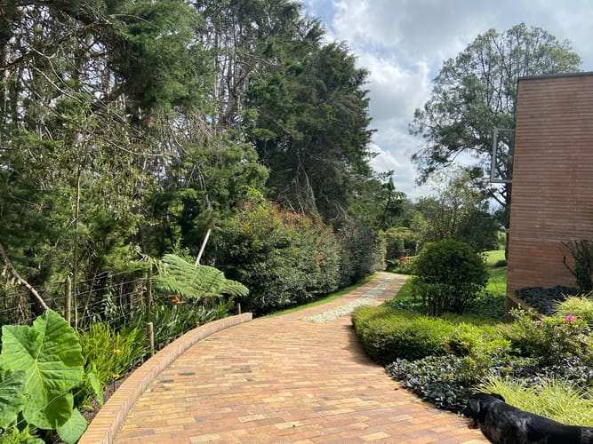 Finca en arriendo en Pontezuela, Rionegro, 3500 m² · foto 9 de 24