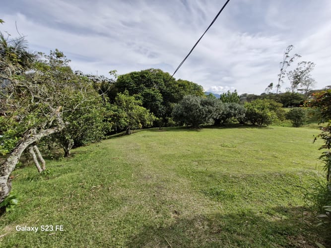 Lote en venta en Guamito, La Ceja, 10000 m² · foto 5 de 16