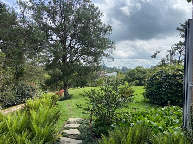 Finca en arriendo en Pontezuela, Rionegro, 3500 m² · foto 11 de 24