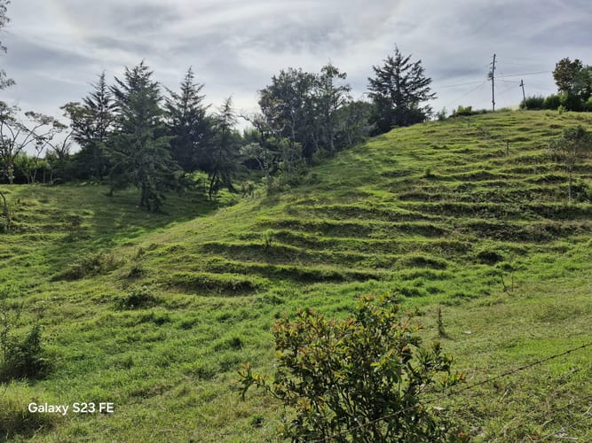Lote en venta en Guamito, La Ceja, 10000 m² · foto 7 de 16