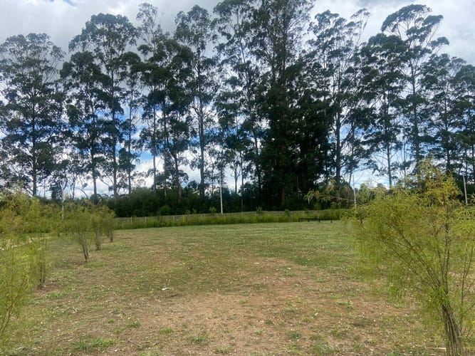 Lote en venta en Cabeceras De Llanogrande, Rionegro, 1500 m² · foto 7 de 16
