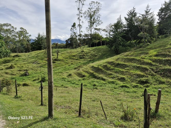 Lote en venta en Guamito, La Ceja, 10000 m² · foto 8 de 16