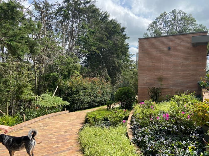 Finca en arriendo en Pontezuela, Rionegro, 3500 m² · foto 14 de 24