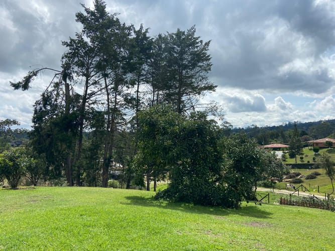 Finca en arriendo en Pontezuela, Rionegro, 3500 m² · foto 15 de 24