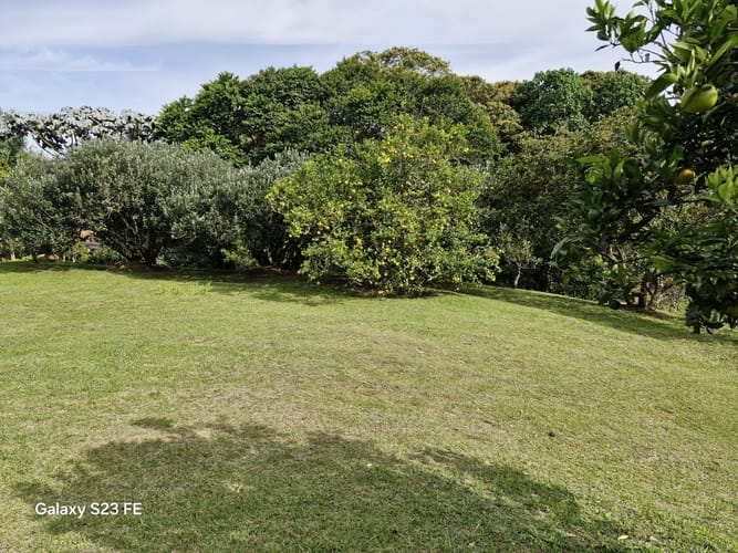 Lote en venta en Guamito, La Ceja, 10000 m² · foto 10 de 16