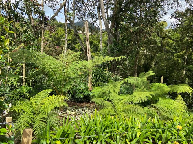 Finca en arriendo en Pontezuela, Rionegro, 3500 m² · foto 18 de 24