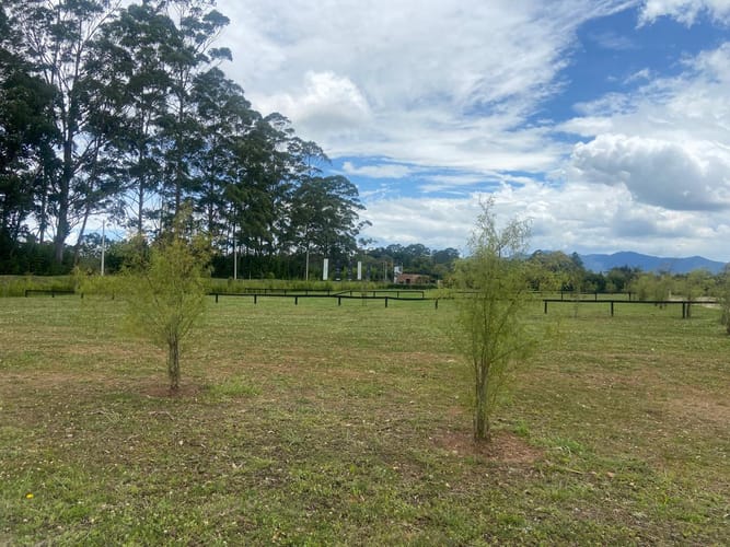 Lote en venta en Cabeceras De Llanogrande, Rionegro, 1500 m² · foto 13 de 16