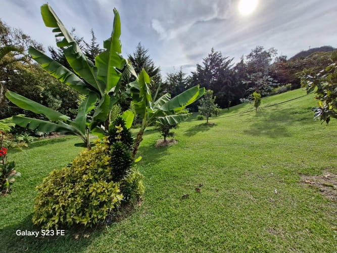 Lote en venta en Guamito, La Ceja, 10000 m² · foto 12 de 16