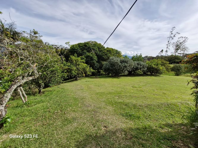 Lote en venta en Guamito, La Ceja, 10000 m² · foto 13 de 16