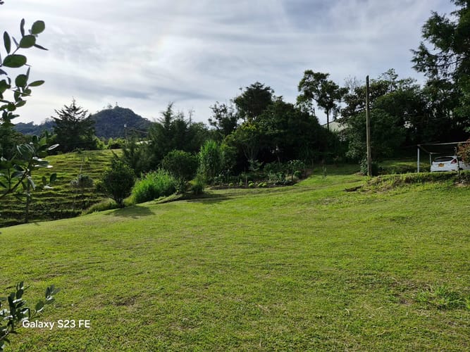 Lote en venta en Guamito, La Ceja, 10000 m² · foto 14 de 16
