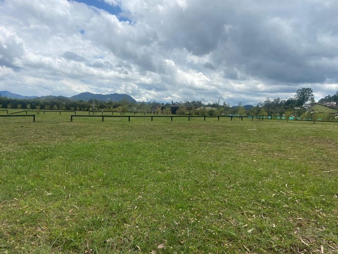 Lote en venta en Cabeceras De Llanogrande, Rionegro, 1500 m² · foto 16 de 16