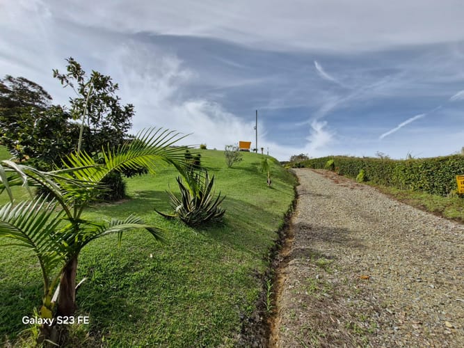 Lote en venta en Guamito, La Ceja, 10000 m² · foto 15 de 16