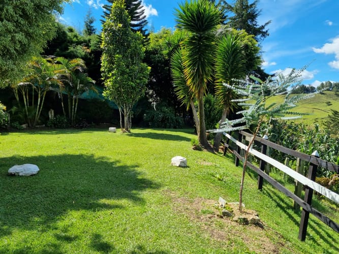 Finca en venta en El Porvenir, Rionegro, 16800 m² · foto 8 de 20
