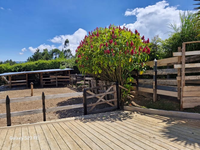 Finca en venta en El Porvenir, Rionegro, 16800 m² · foto 12 de 20