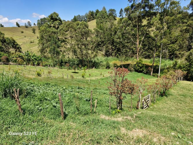 Finca en venta en El Porvenir, Rionegro, 16800 m² · foto 14 de 20