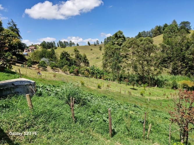 Finca en venta en El Porvenir, Rionegro, 16800 m² · foto 17 de 20