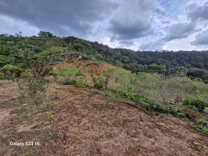 Lote en venta en El Carmen, El Retiro, 90000 m² · foto 5 de 16