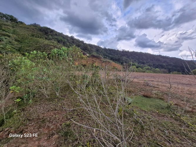 Lote en venta en El Carmen, El Retiro, 90000 m² · foto 6 de 16