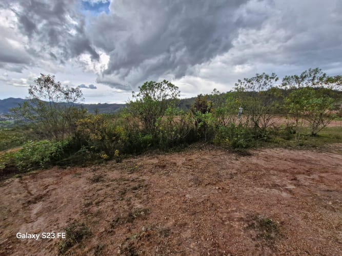 Lote en venta en El Carmen, El Retiro, 90000 m² · foto 7 de 16