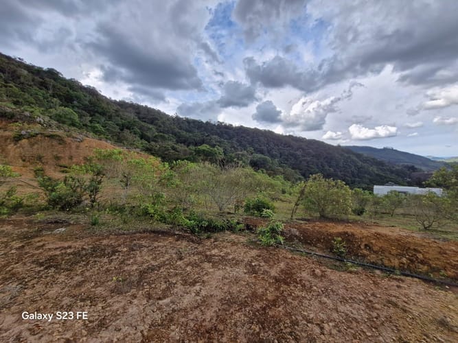 Lote en venta en El Carmen, El Retiro, 90000 m² · foto 8 de 16
