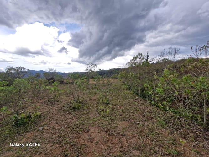 Lote en venta en El Carmen, El Retiro, 90000 m² · foto 9 de 16