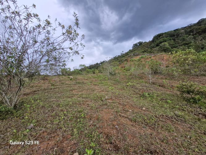 Lote en venta en El Carmen, El Retiro, 90000 m² · foto 11 de 16