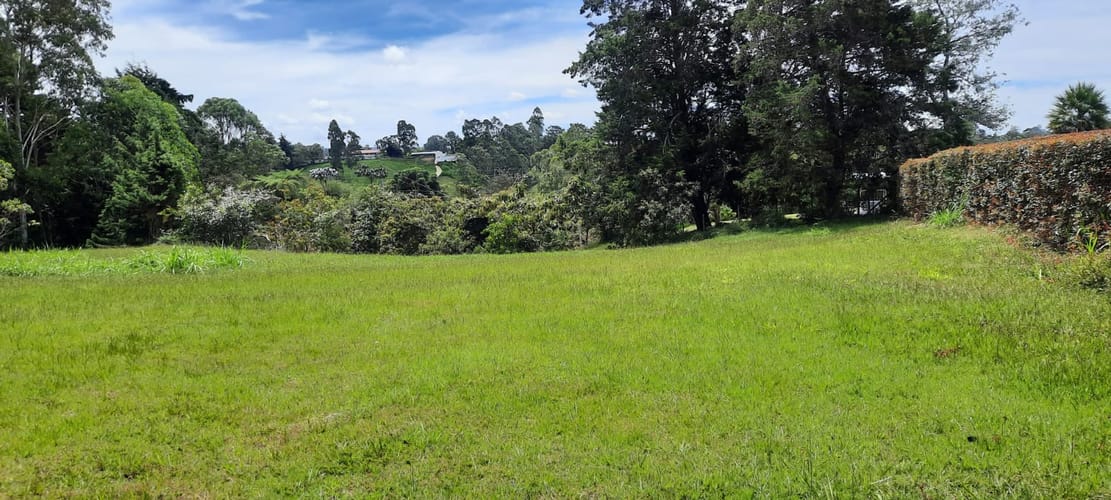 Lote en venta en El Porvenir, El Carmen de Viboral, 30400 m² · foto 2 de 24