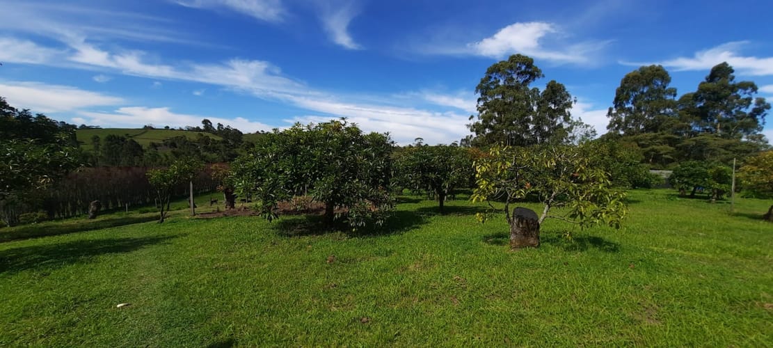 Lote en venta en El Porvenir, El Carmen de Viboral, 30400 m² · foto 3 de 24