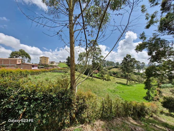 Lote en venta en Las Garzonas, El Carmen de Viboral, 75800 m² · foto 3 de 24