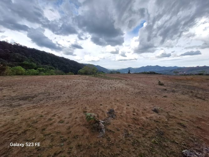 Lote en venta en El Carmen, El Retiro, 90000 m² · foto 13 de 16