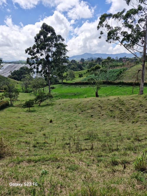 Lote en venta en Las Garzonas, El Carmen de Viboral, 75800 m² · foto 4 de 24