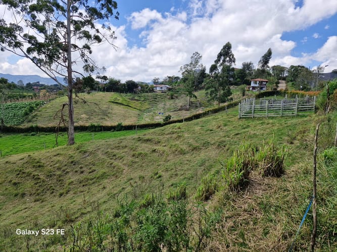 Lote en venta en Las Garzonas, El Carmen de Viboral, 75800 m² · foto 5 de 24