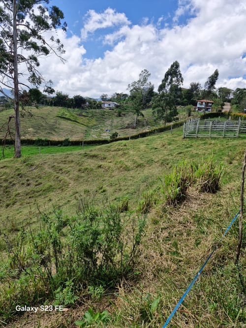 Lote en venta en Las Garzonas, El Carmen de Viboral, 75800 m² · foto 6 de 24