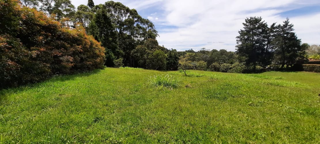 Lote en venta en El Porvenir, El Carmen de Viboral, 30400 m² · foto 6 de 24