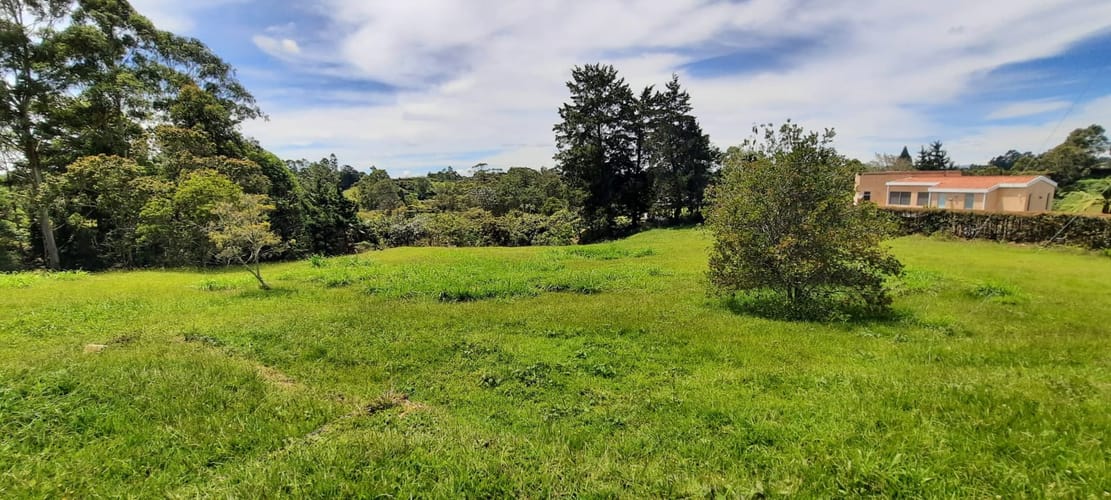 Lote en venta en El Porvenir, El Carmen de Viboral, 30400 m² · foto 7 de 24