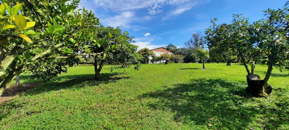 Lote en venta en El Porvenir, El Carmen de Viboral, 30400 m² · foto 8 de 24