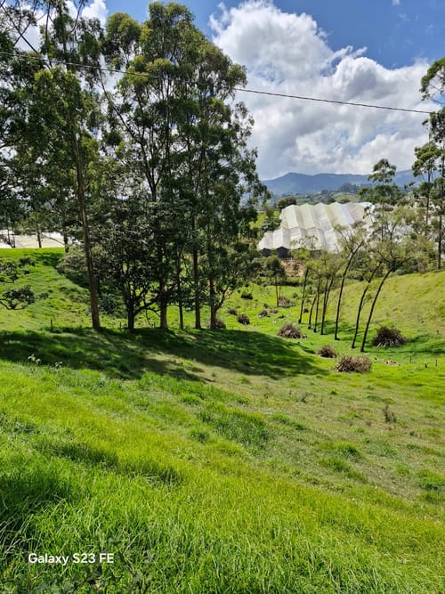 Lote en venta en Las Garzonas, El Carmen de Viboral, 75800 m² · foto 8 de 24