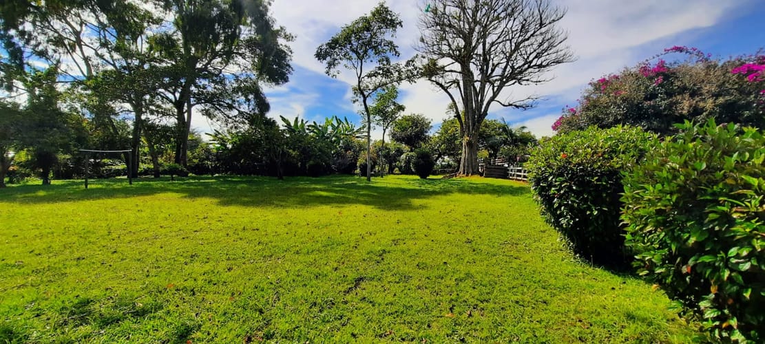 Lote en venta en El Porvenir, El Carmen de Viboral, 30400 m² · foto 9 de 24
