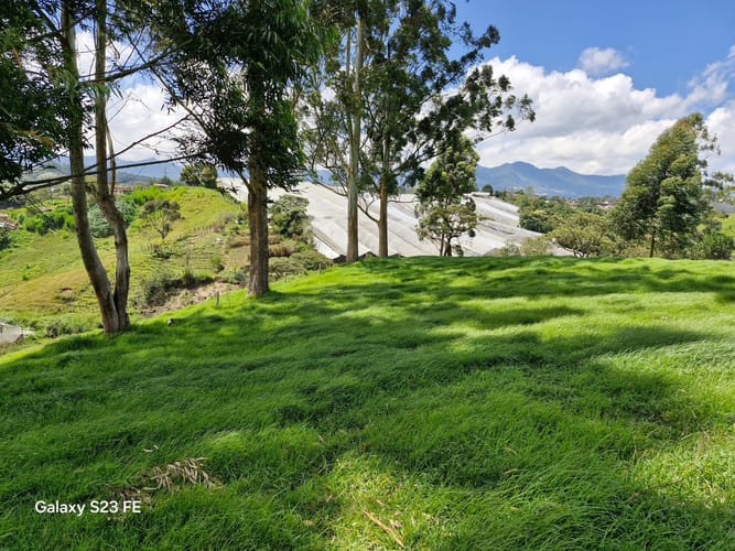 Lote en venta en Las Garzonas, El Carmen de Viboral, 75800 m² · foto 10 de 24