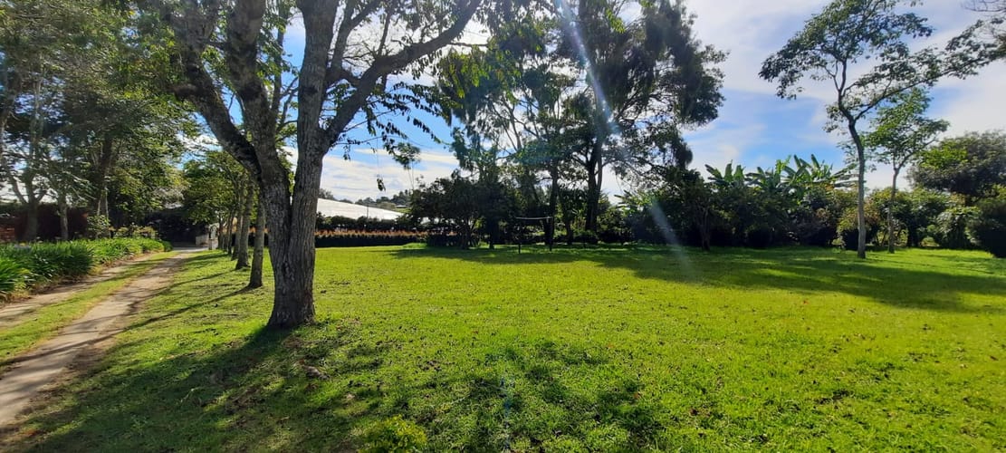 Lote en venta en El Porvenir, El Carmen de Viboral, 30400 m² · foto 12 de 24