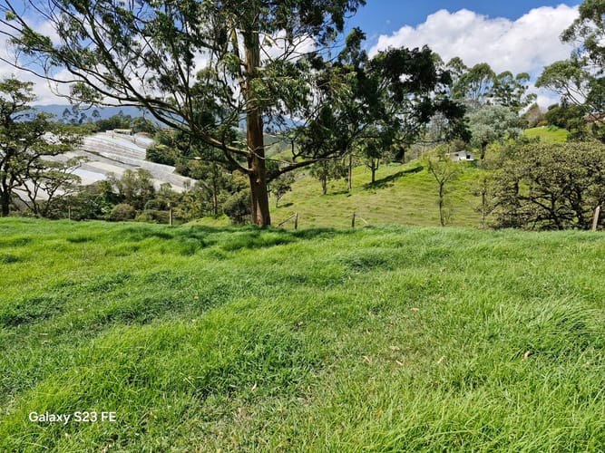 Lote en venta en Las Garzonas, El Carmen de Viboral, 75800 m² · foto 11 de 24
