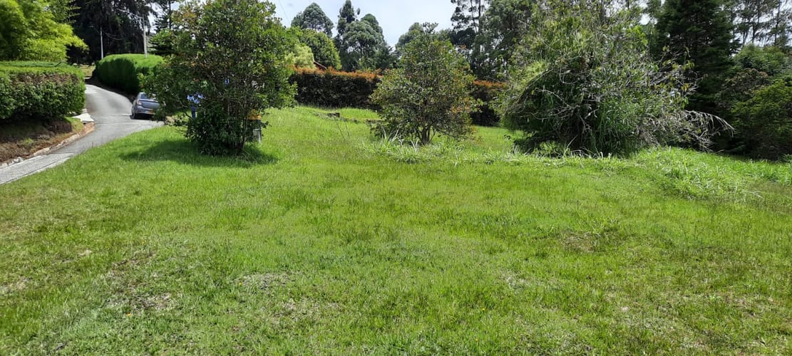 Lote en venta en El Porvenir, El Carmen de Viboral, 30400 m² · foto 13 de 24