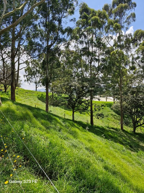 Lote en venta en Las Garzonas, El Carmen de Viboral, 75800 m² · foto 12 de 24